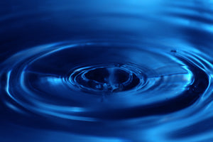 ozone-systems-aquaculture-bottling-zoo
